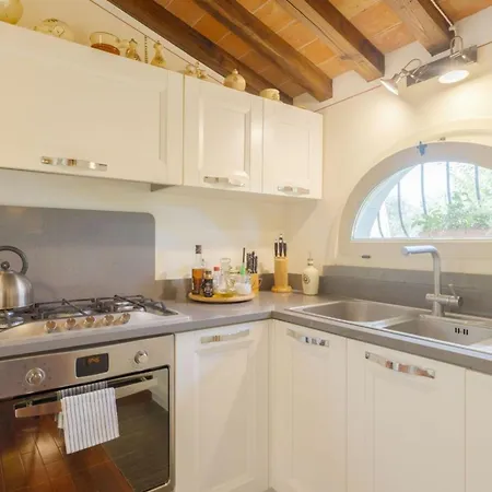 فيلة Elena كورتونا