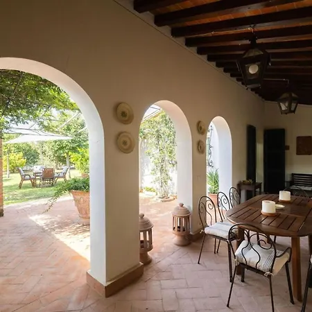 Elena * كورتونا