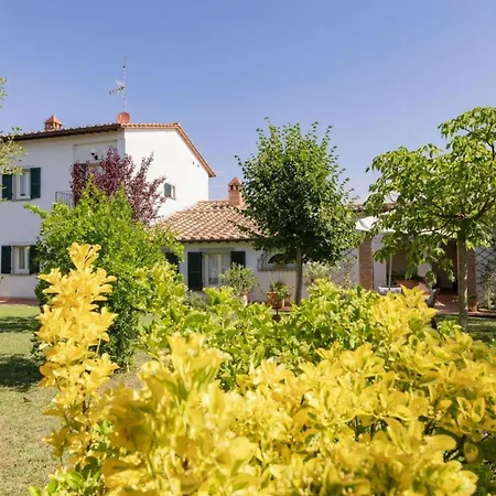 Elena * קורטונה